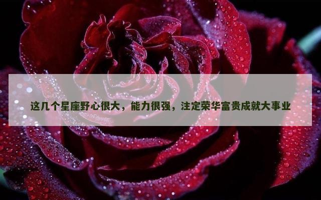这几个星座野心很大，能力很强，注定荣华富贵成就大事业