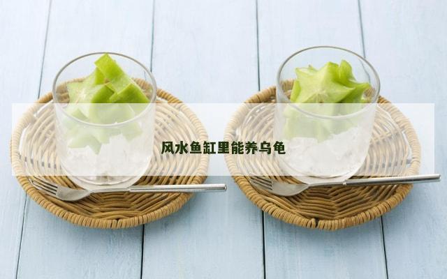 风水鱼缸里能养乌龟