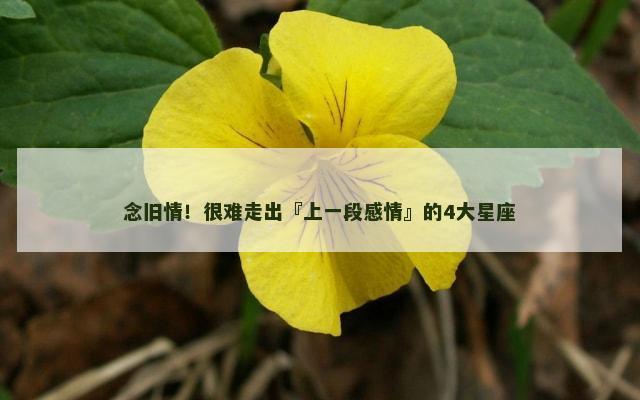 念旧情！很难走出『上一段感情』的4大星座