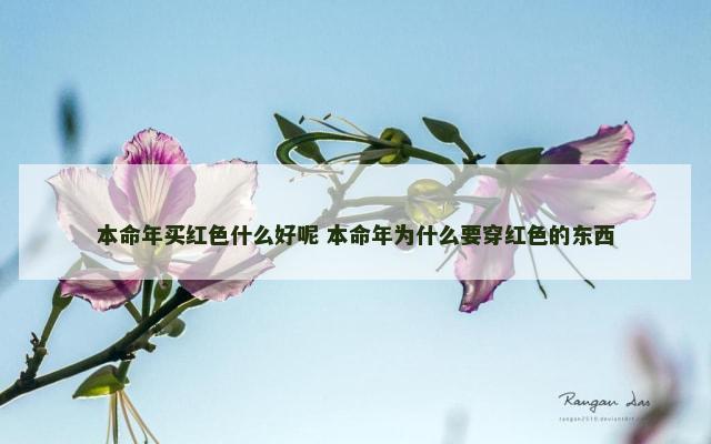 本命年买红色什么好呢 本命年为什么要穿红色的东西