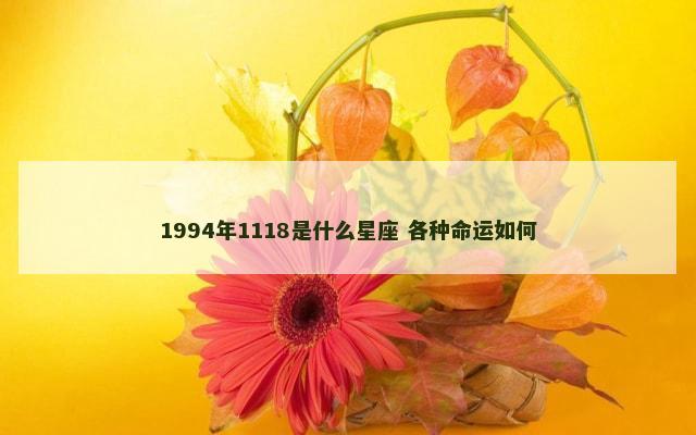 1994年1118是什么星座 各种命运如何