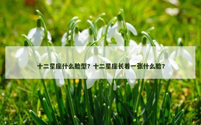 十二星座什么脸型? 十二星座长着一张什么脸?