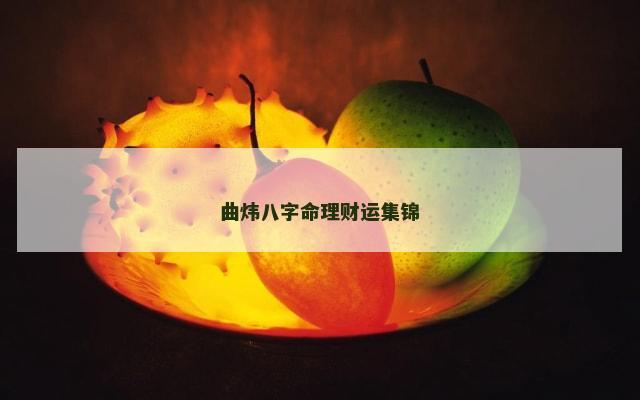 曲炜八字命理财运集锦