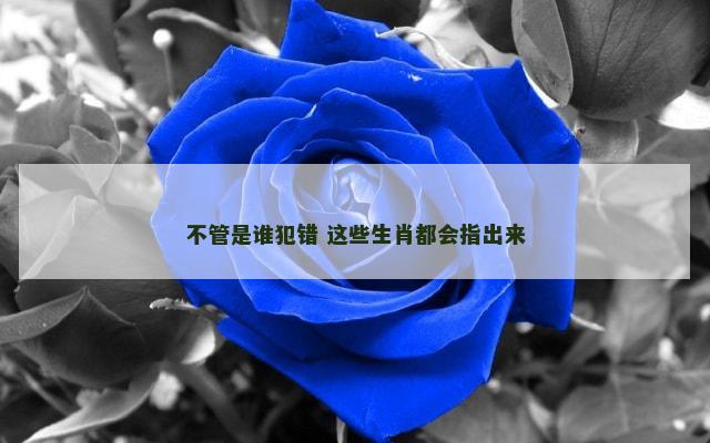 不管是谁犯错 这些生肖都会指出来
