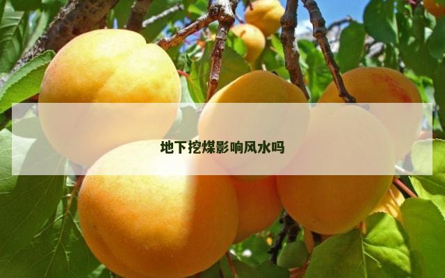 地下挖煤影响风水吗