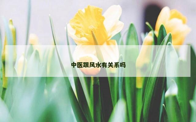 中医跟风水有关系吗