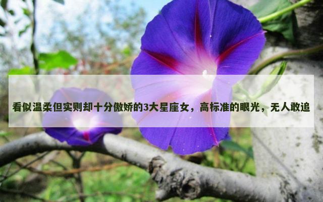 看似温柔但实则却十分傲娇的3大星座女，高标准的眼光，无人敢追