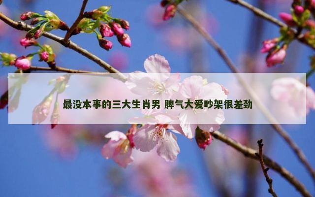 最没本事的三大生肖男 脾气大爱吵架很差劲