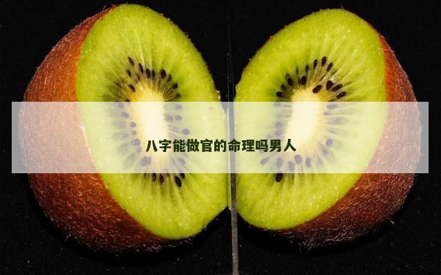 八字能做官的命理吗男人