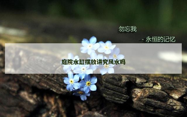 庭院水缸摆放讲究风水吗