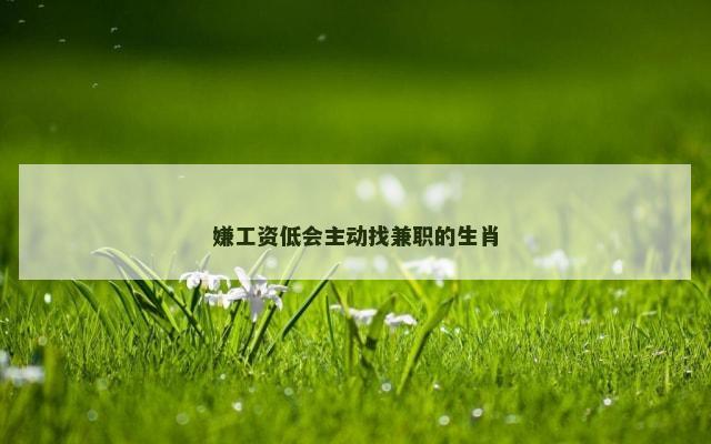 嫌工资低会主动找兼职的生肖