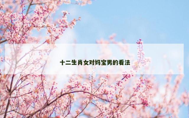 十二生肖女对妈宝男的看法