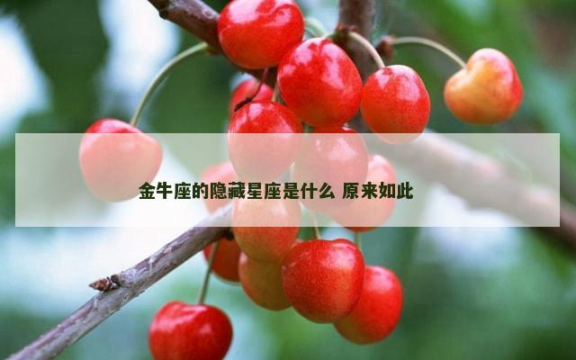 金牛座的隐藏星座是什么 原来如此 　　