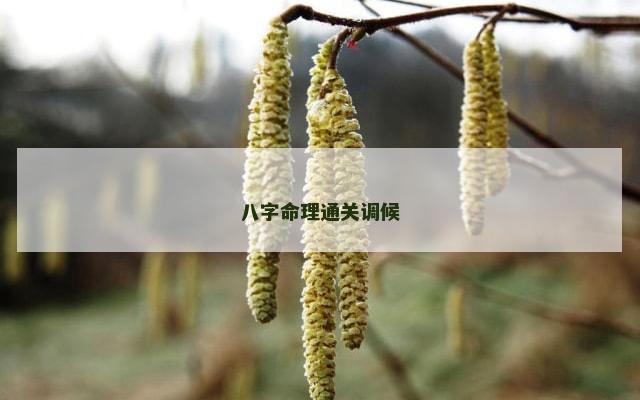 八字命理通关调候