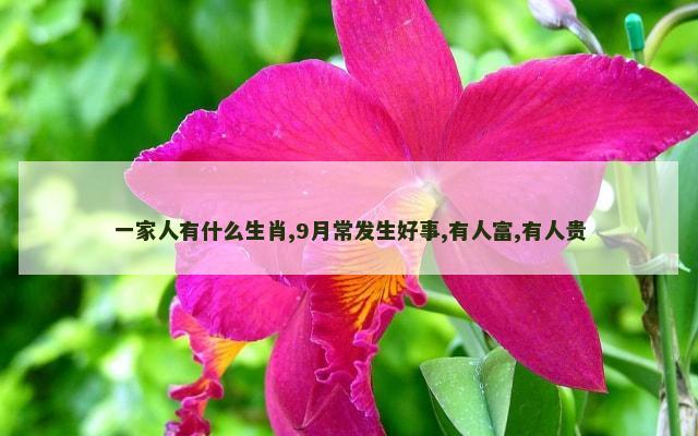 一家人有什么生肖,9月常发生好事,有人富,有人贵
