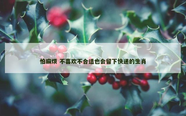 怕麻烦 不喜欢不合适也会留下快递的生肖