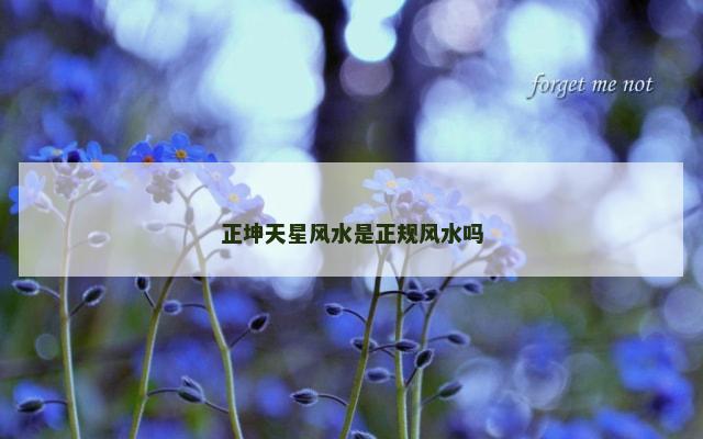正坤天星风水是正规风水吗