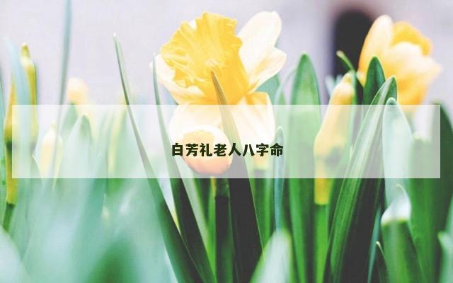 白芳礼老人八字命