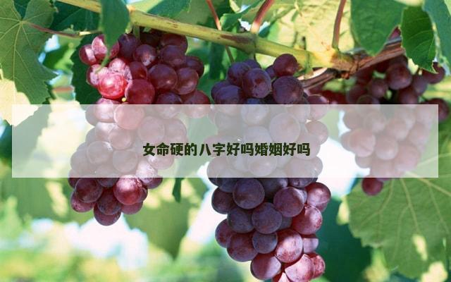 女命硬的八字好吗婚姻好吗