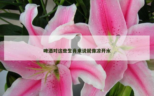 啤酒对这些生肖来说就像凉开水