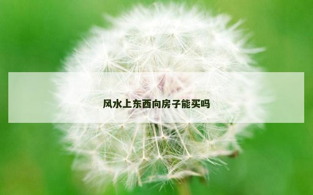 风水上东西向房子能买吗