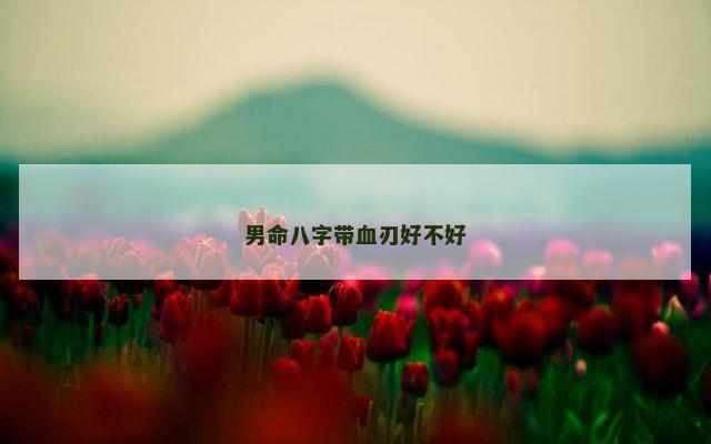 男命八字带血刃好不好