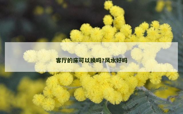 客厅的床可以换吗?风水好吗