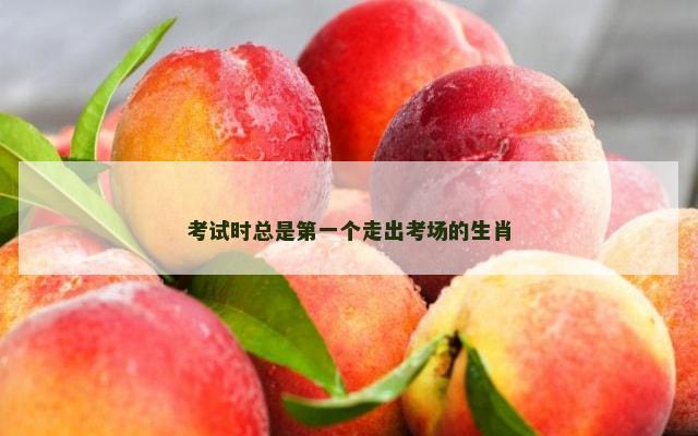考试时总是第一个走出考场的生肖
