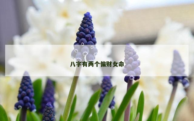 八字有两个偏财女命