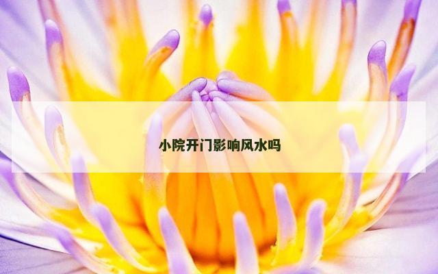 小院开门影响风水吗