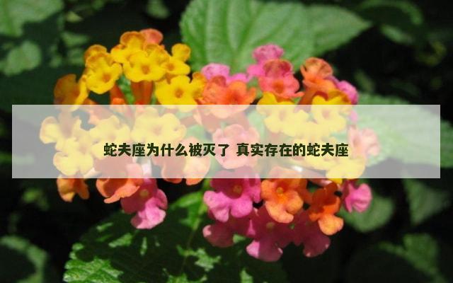 蛇夫座为什么被灭了 真实存在的蛇夫座