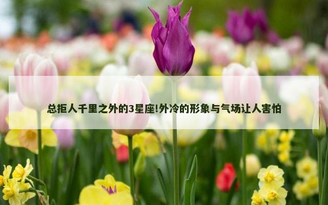 总拒人千里之外的3星座!外冷的形象与气场让人害怕