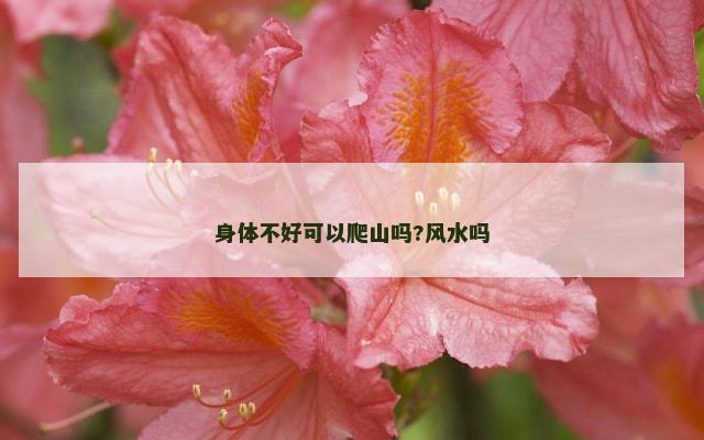 身体不好可以爬山吗?风水吗