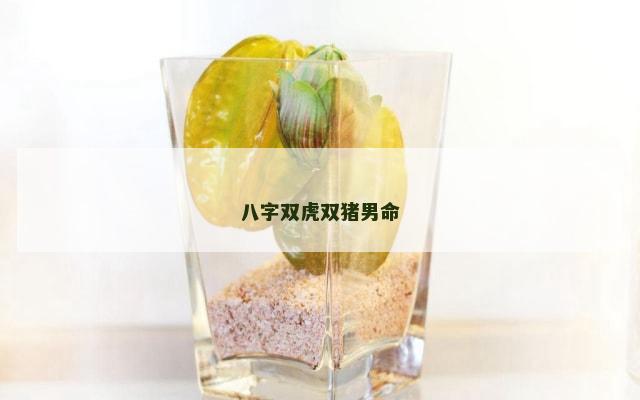 八字双虎双猪男命