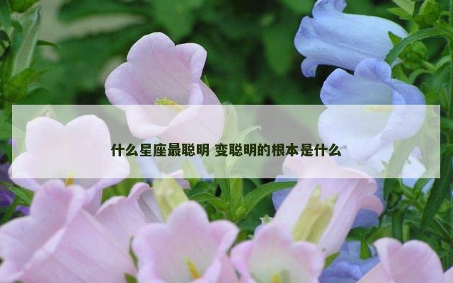 什么星座最聪明 变聪明的根本是什么