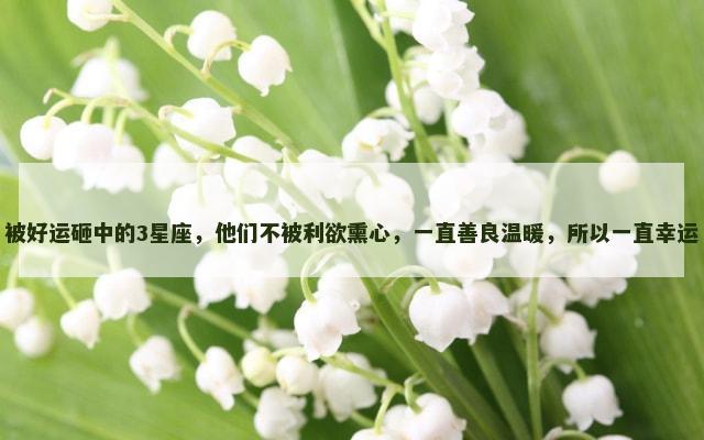 被好运砸中的3星座，他们不被利欲熏心，一直善良温暖，所以一直幸运