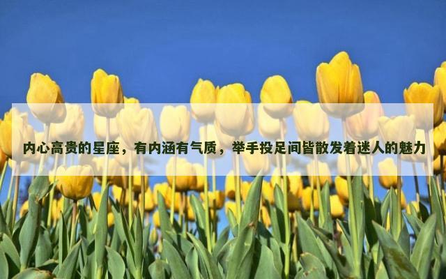 内心高贵的星座，有内涵有气质，举手投足间皆散发着迷人的魅力