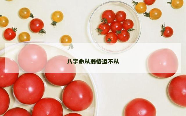 八字命从弱格运不从