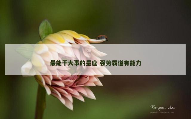 最能干大事的星座 强势霸道有能力