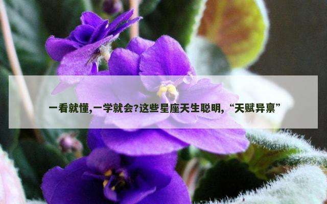 一看就懂,一学就会?这些星座天生聪明,“天赋异禀”