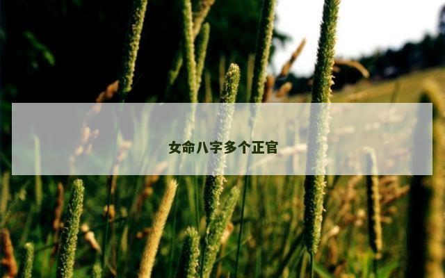 女命八字多个正官
