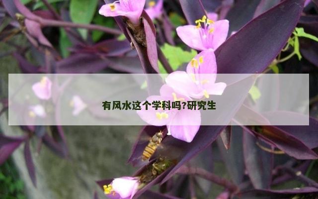 有风水这个学科吗?研究生
