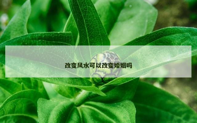 改变风水可以改变婚姻吗