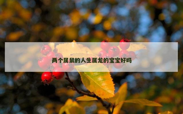 两个属鼠的人生属龙的宝宝好吗