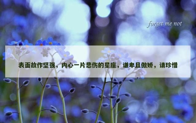 表面故作坚强，内心一片悲伤的星座，谦卑且傲娇，请珍惜