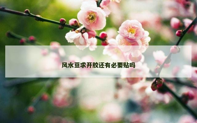 风水豆求开胶还有必要贴吗