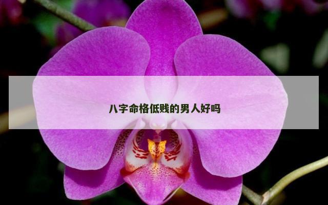 八字命格低贱的男人好吗