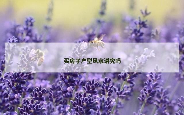 买房子户型风水讲究吗