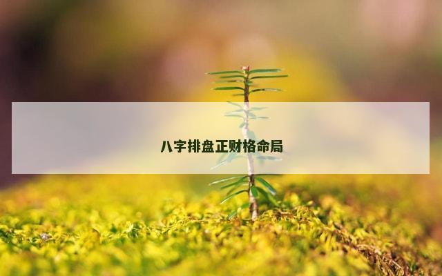 八字排盘正财格命局