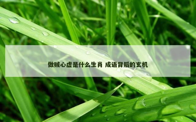 做贼心虚是什么生肖 成语背后的玄机